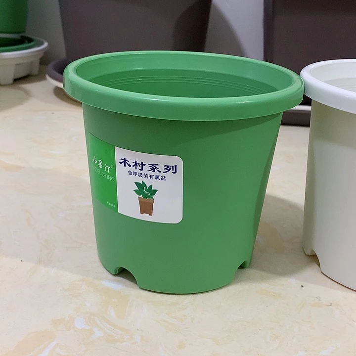 小果汀15口绿10个无托