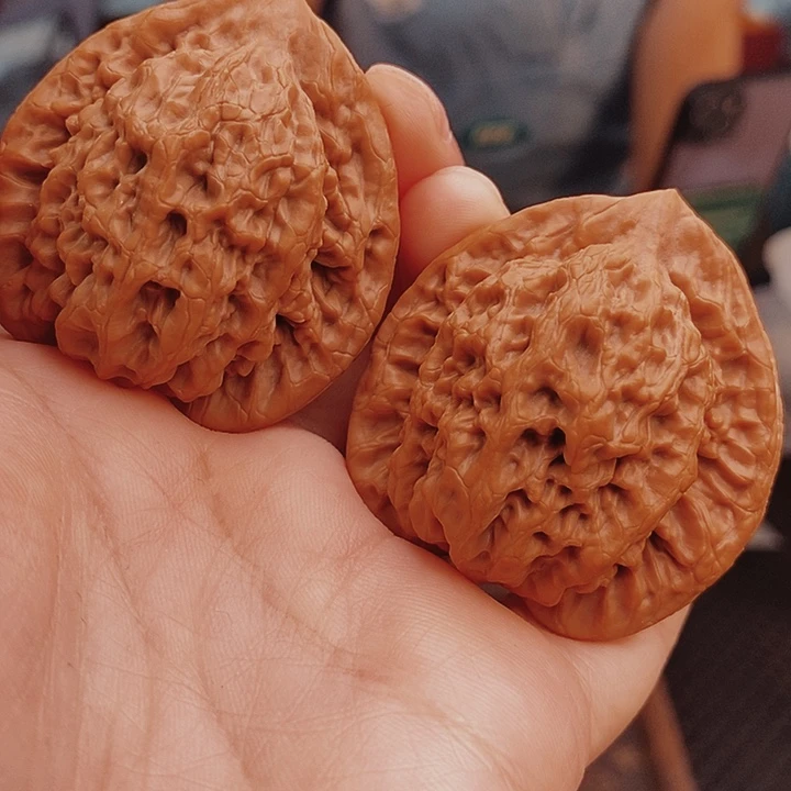 核桃43尺金公子核桃