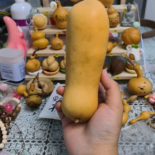 脸***猫豆腐跳跳鱼Uhhh呼呼呼