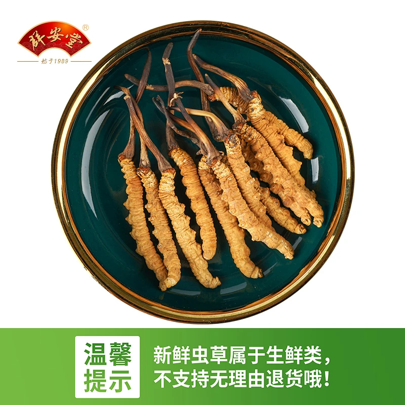 群安堂  冬虫夏草（鲜）断草  生鲜类 不支持7天无理由退货