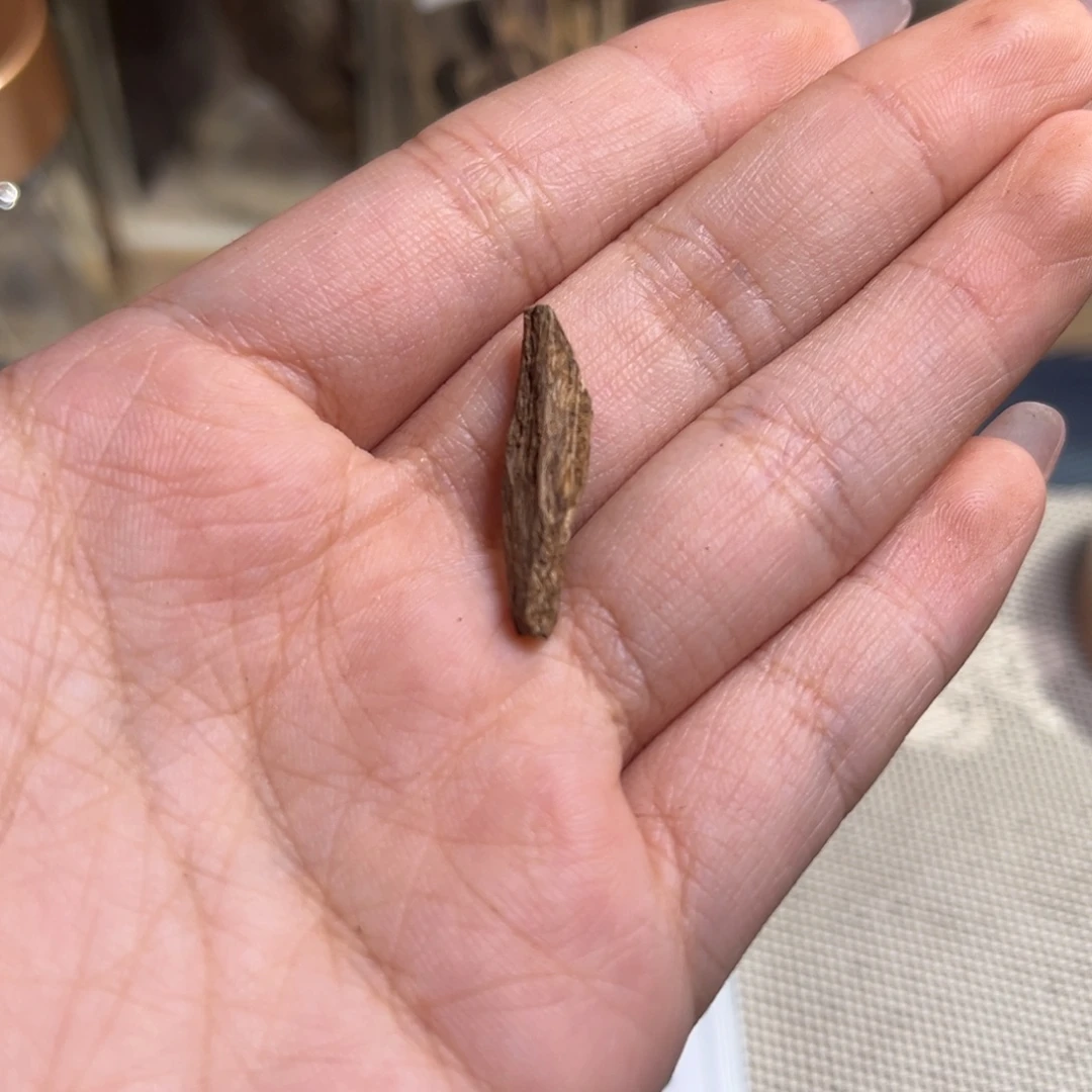 沉香海南根部奇楠0.3克