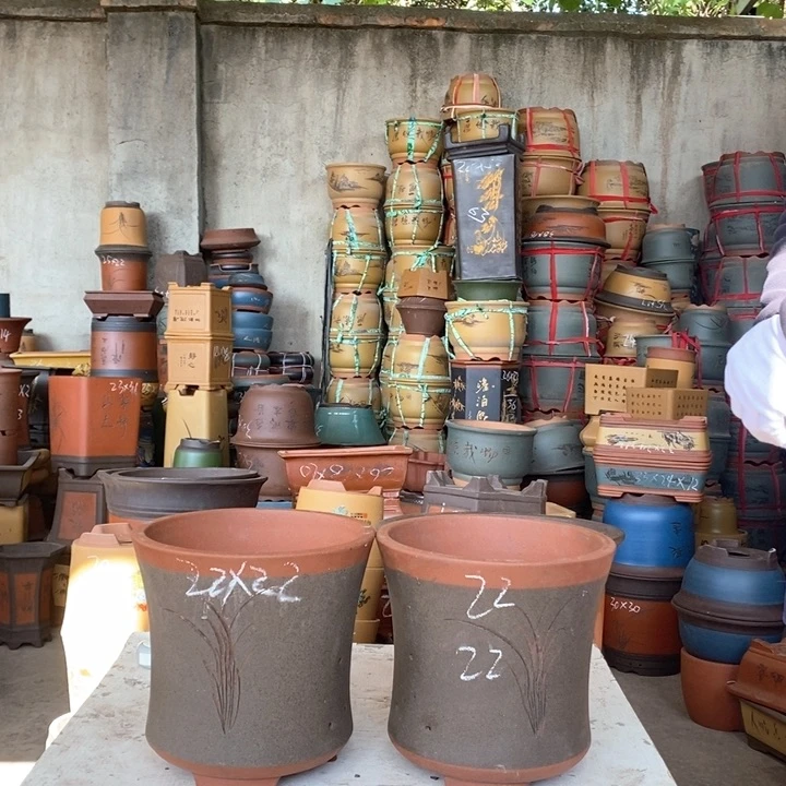 紫砂花盆盆栽花卉种植