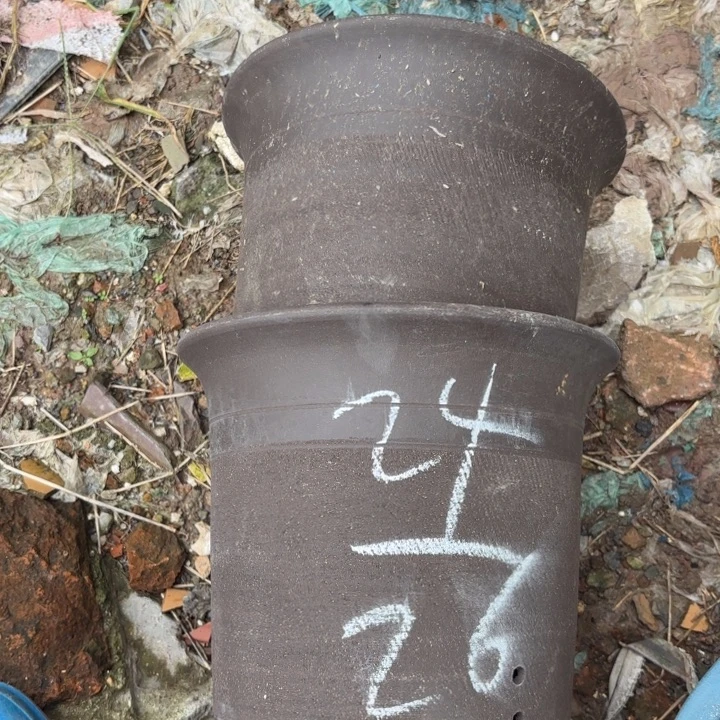 花盆紫砂紫砂的花
