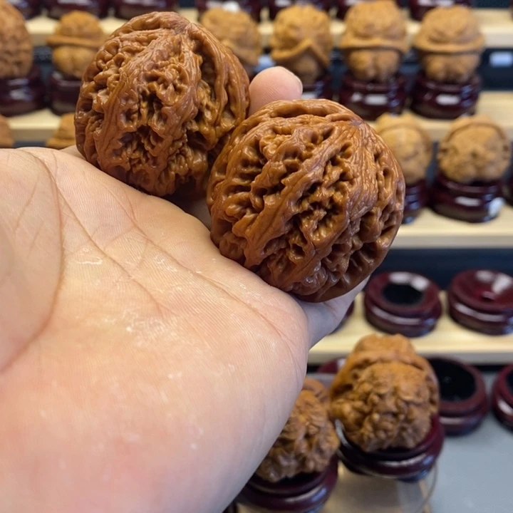 弗***.核桃大粗筋0000000000