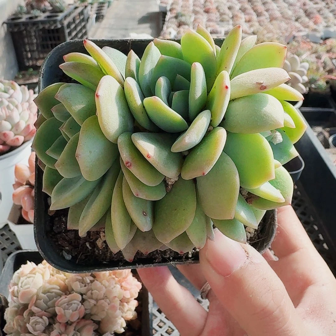 满20包邮零下拍保温箱