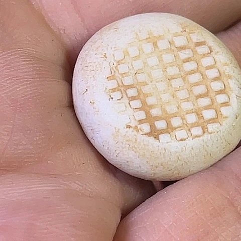 双***城粘土瓷瓷瓷瓷瓷瓷瓷瓷
