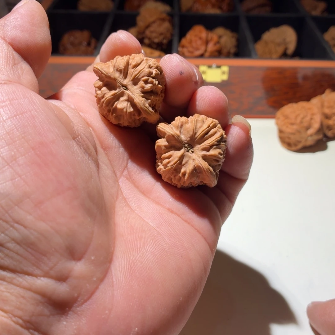 文玩核桃把件小*.小帽子