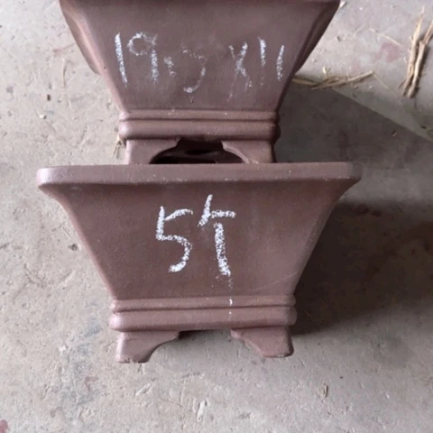 100-5。         19.5-11