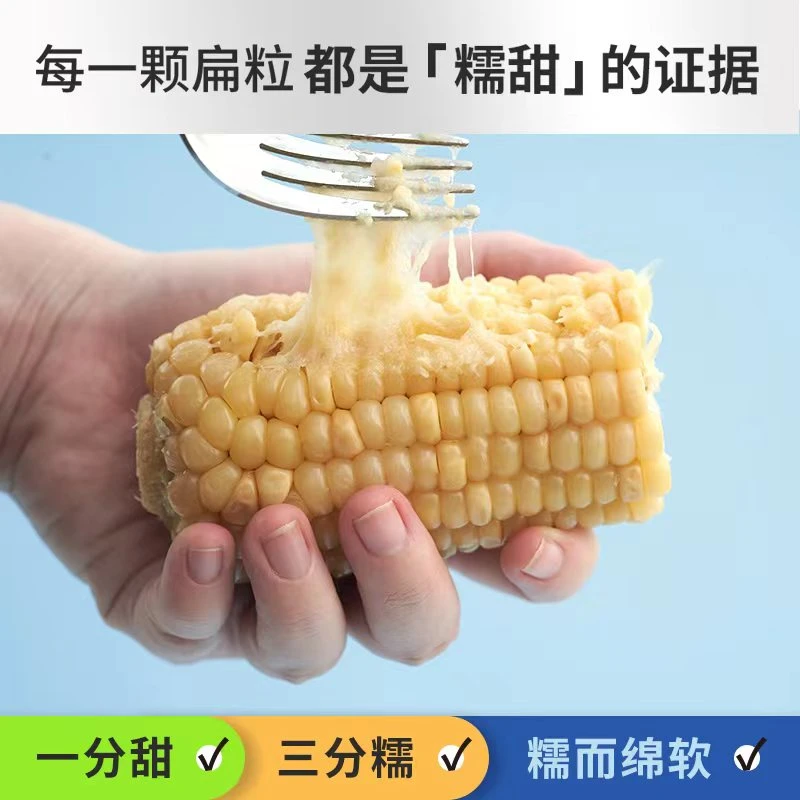 【新品促销白糯10根】玉米甜糯水果玉米鲜嫩真空包装粗粮辅食代餐
