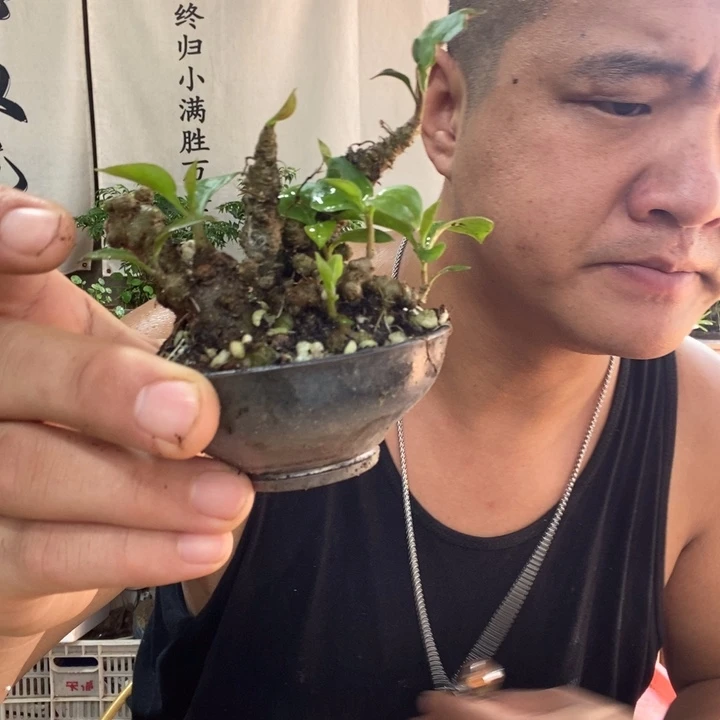 无花朵退款拉黑拉黑24