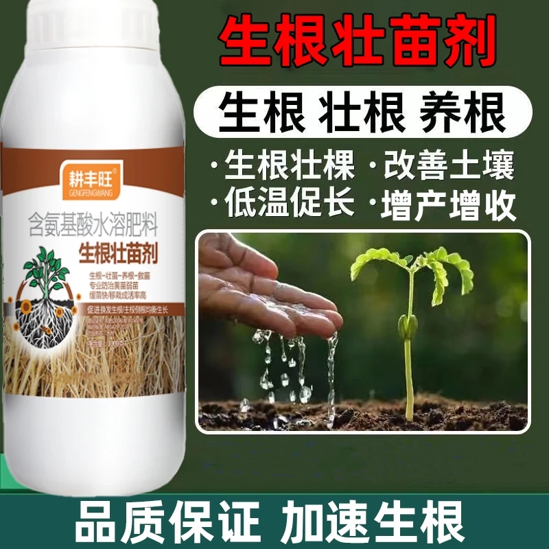 生根壮苗剂生根粉生根液移栽扦插果树花卉瓜果蔬菜植物强力发根剂