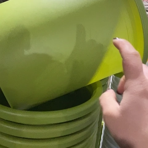 树脂四季7号果绿无托6个特价