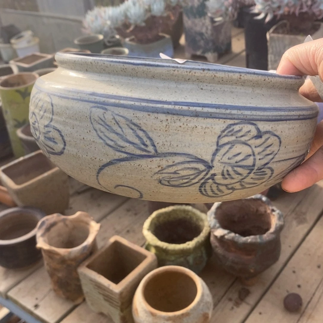 红陶多*10号多肉盆一个呀