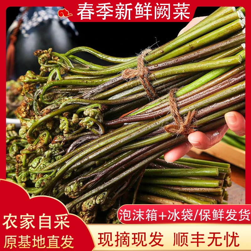 【顺丰包邮】新鲜野生甜蕨菜山野菜龙爪菜春季特产凉拌下饭当季蔬菜