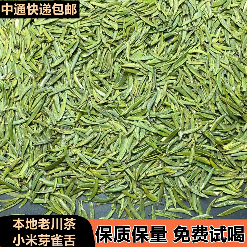 老川茶小米芽雀舌明前头采实心芽小芽2025年新茶口感醇厚散装称重