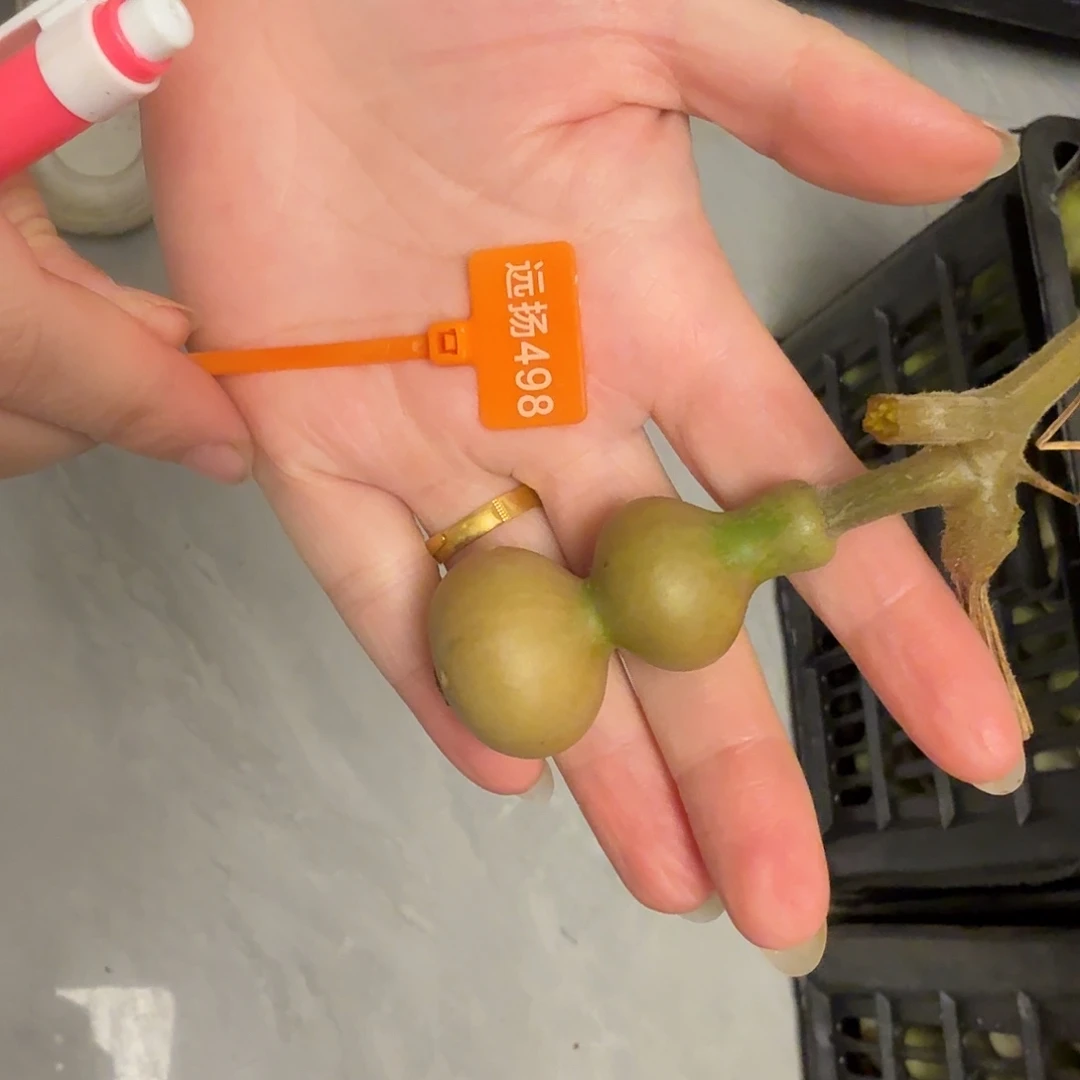 R***Z木这个时候应该可以