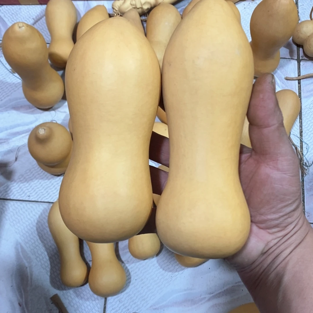 ઈ****ଓ文玩葫芦天然葫芦