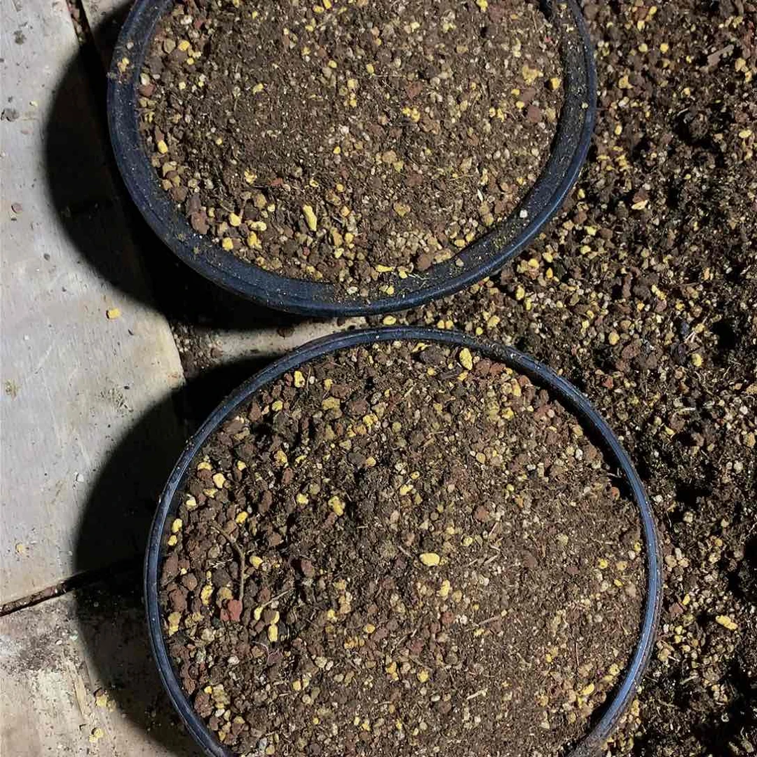 云*白哈哈哈哈哈哈哈哈哈哈哈