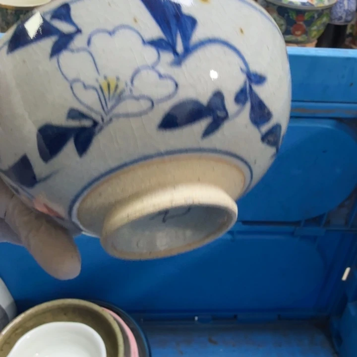 瓷片举*开播啦…开播啦！