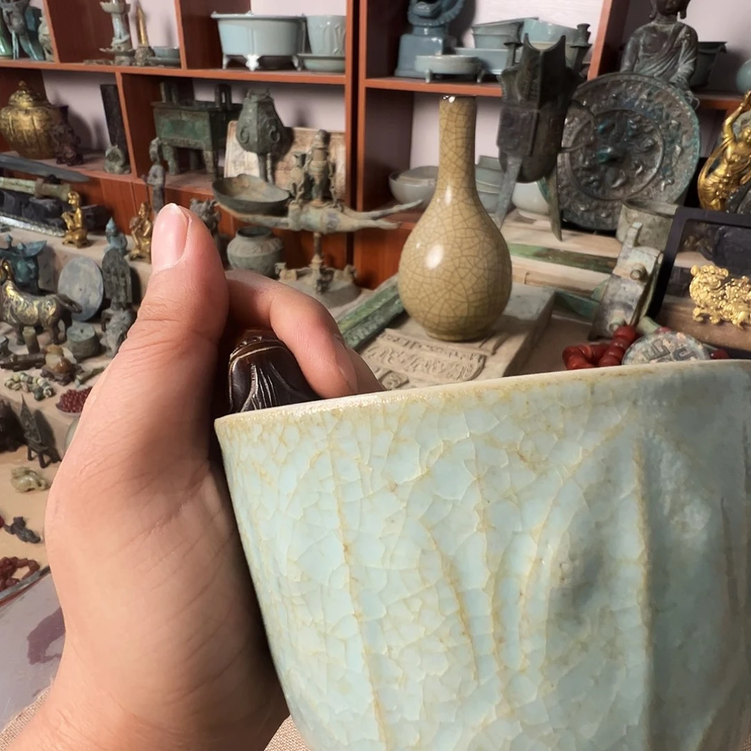 碟小****草555555555555568