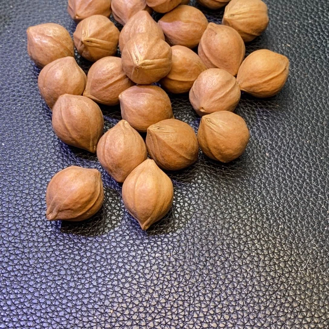 大****手串/手链橄榄核1
