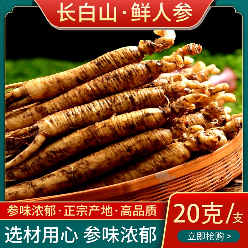 长白山鲜人参煲汤参泡酒参东北特产人参滋补炖鸡单支20g±（半斤）