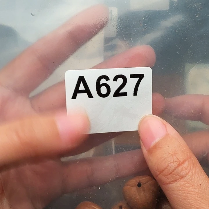 我***他手串/手链橄榄核橄榄