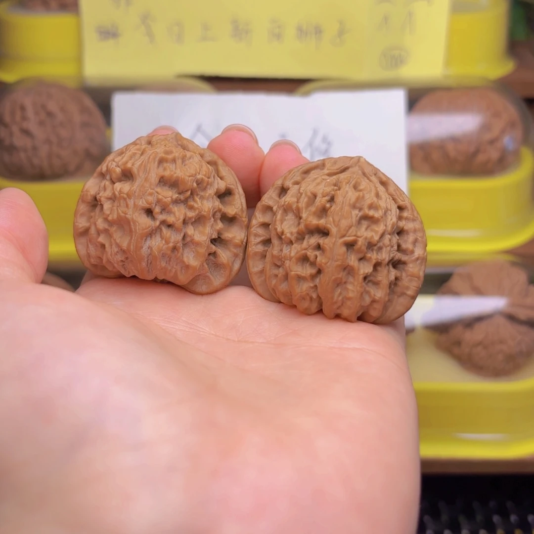 白狮子头四十尺的