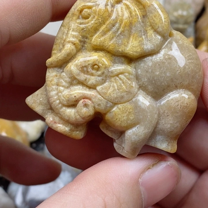 颈饰未镶嵌硅化珊瑚（珊瑚玉）