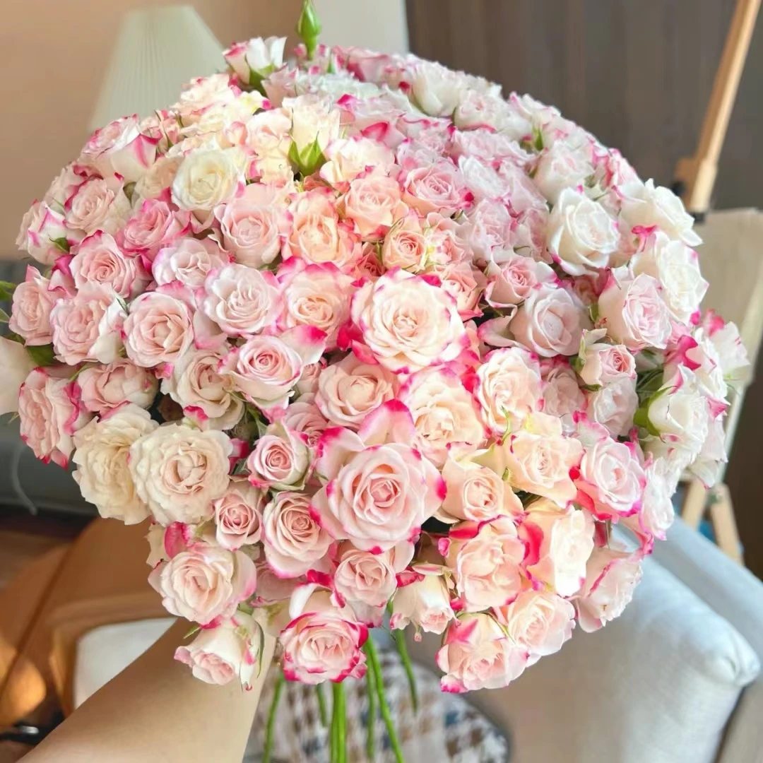 【源头优选】折射多头玫瑰-任意2单鲜花包邮 发货后不支持退款