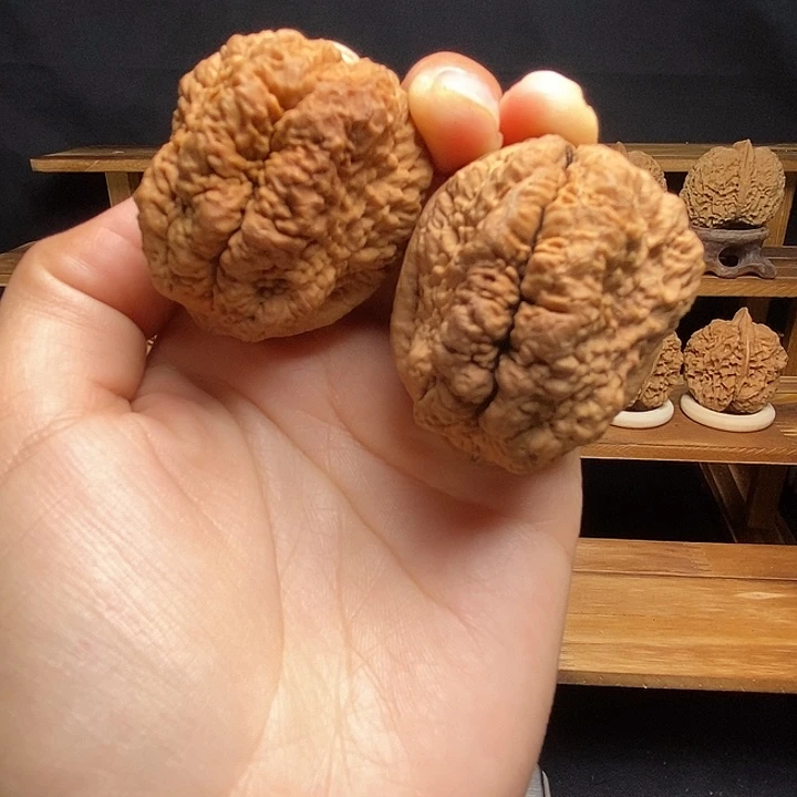 把件文玩核桃临沧古蟾王45mm