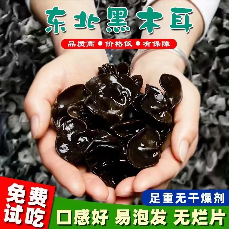500克一袋秋木耳无根无沙肉厚软糯（支持原装试吃）