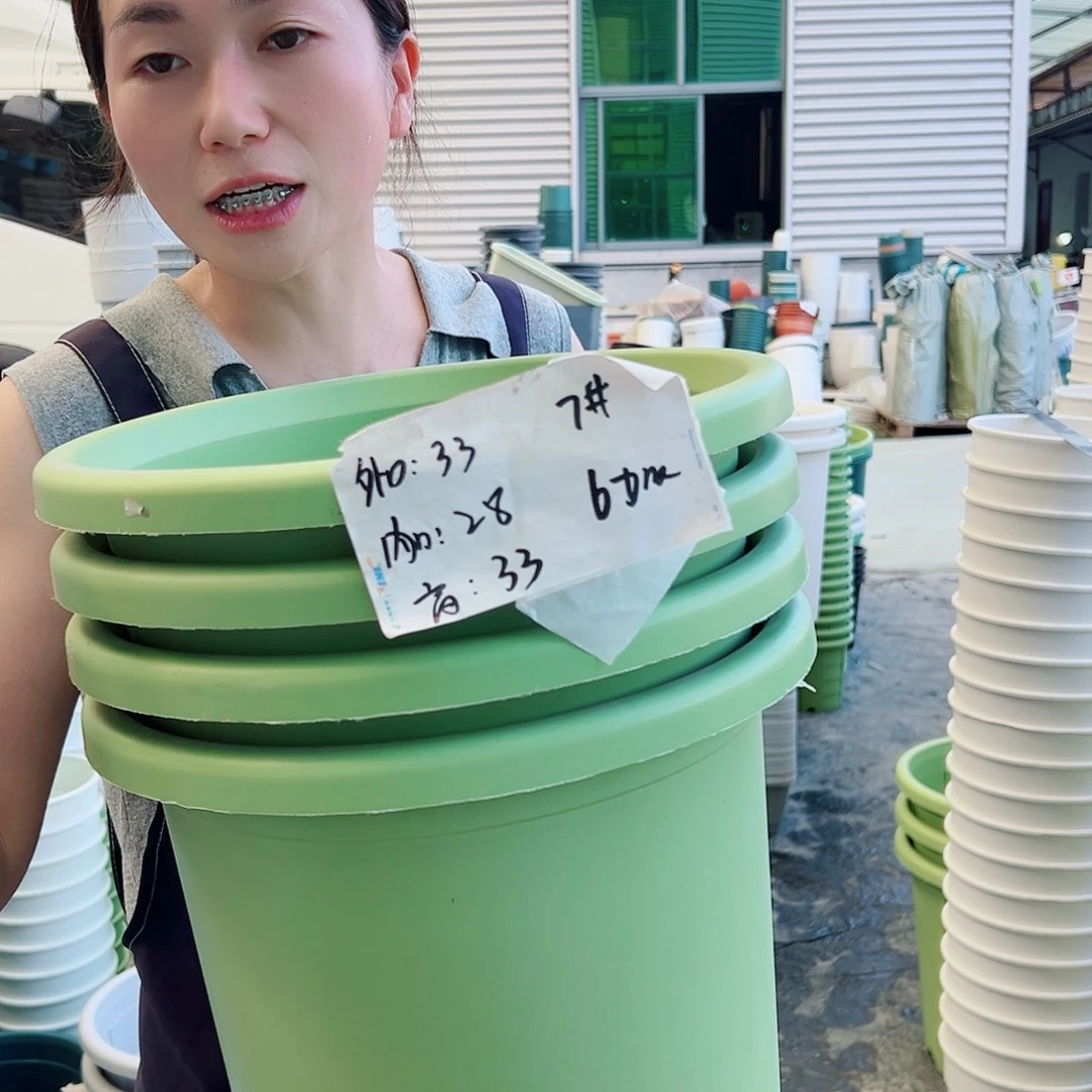 四季盆7#果绿4个无托