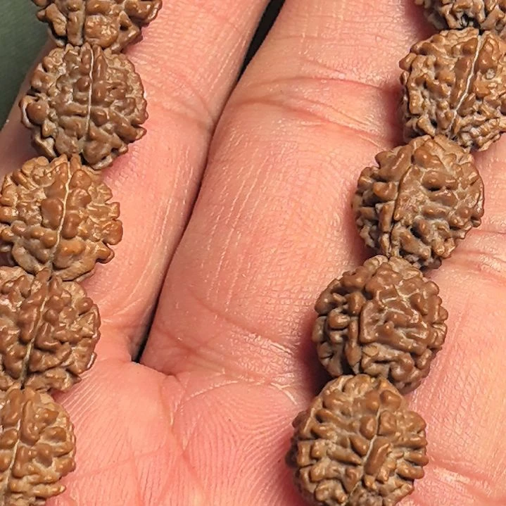 星***…金刚菩提把件龙骨梅花大金刚手持，12左右，精挑细选
