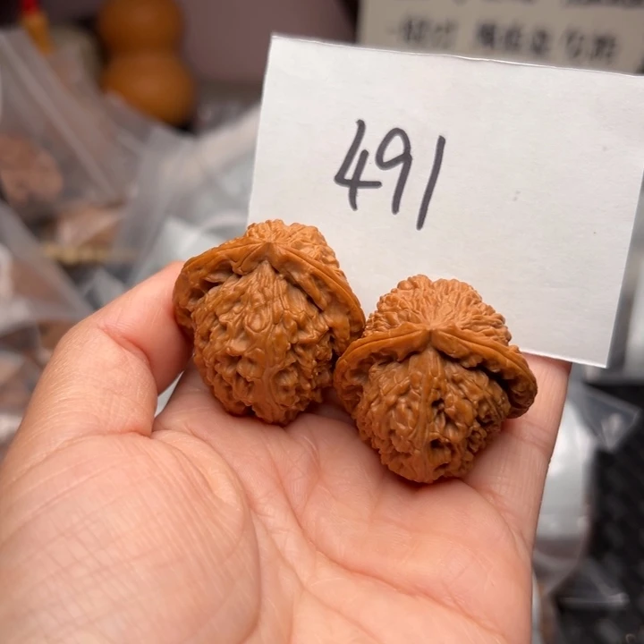 365尺寸打底无修白狮子