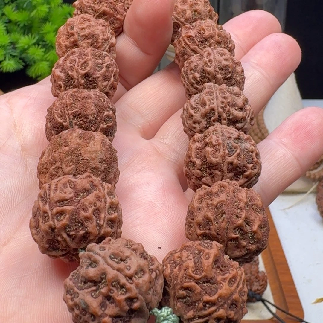 金刚菩提手串蜂窝双龙