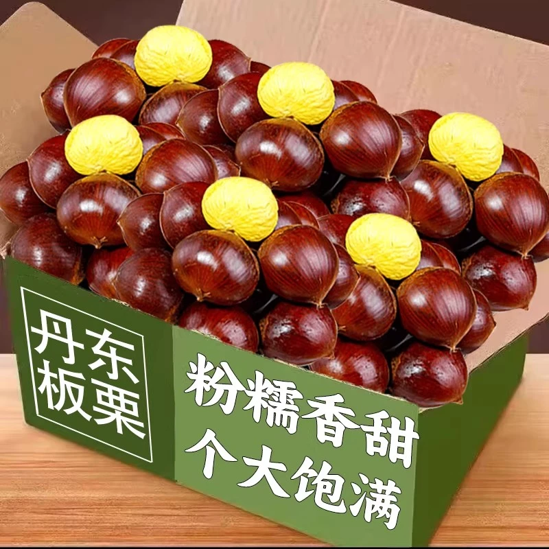 正宗丹东生板栗新鲜栗子当季不难剥皮嫩油野生板栗锥栗农家板栗1