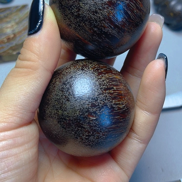 大果紫檀（缅甸花梨）