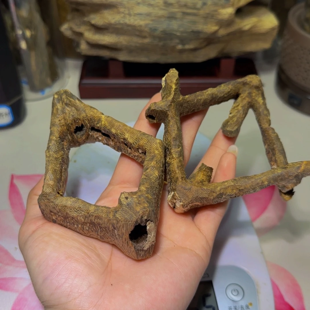 沉香沉香碎屑v***v沉香奇楠白棋鸡母虫老料75克