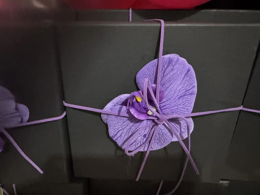 李小姐家黑色上衣