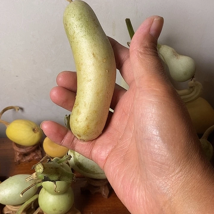 小***8青皮腰子葫芦手把八摆件