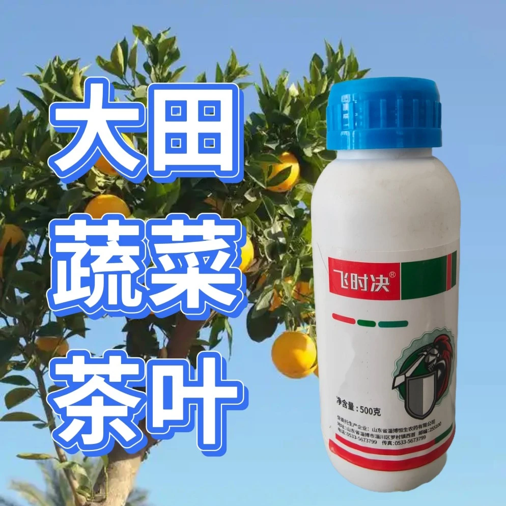 飞时决大田蔬菜茶叶