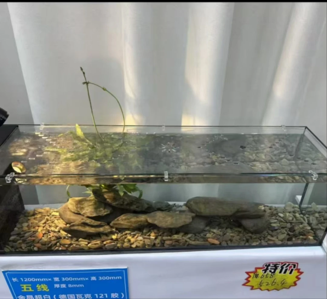 桌面溪流专业鱼缸盖 防跳盖 PC耐力板 不变形防裂硬度强