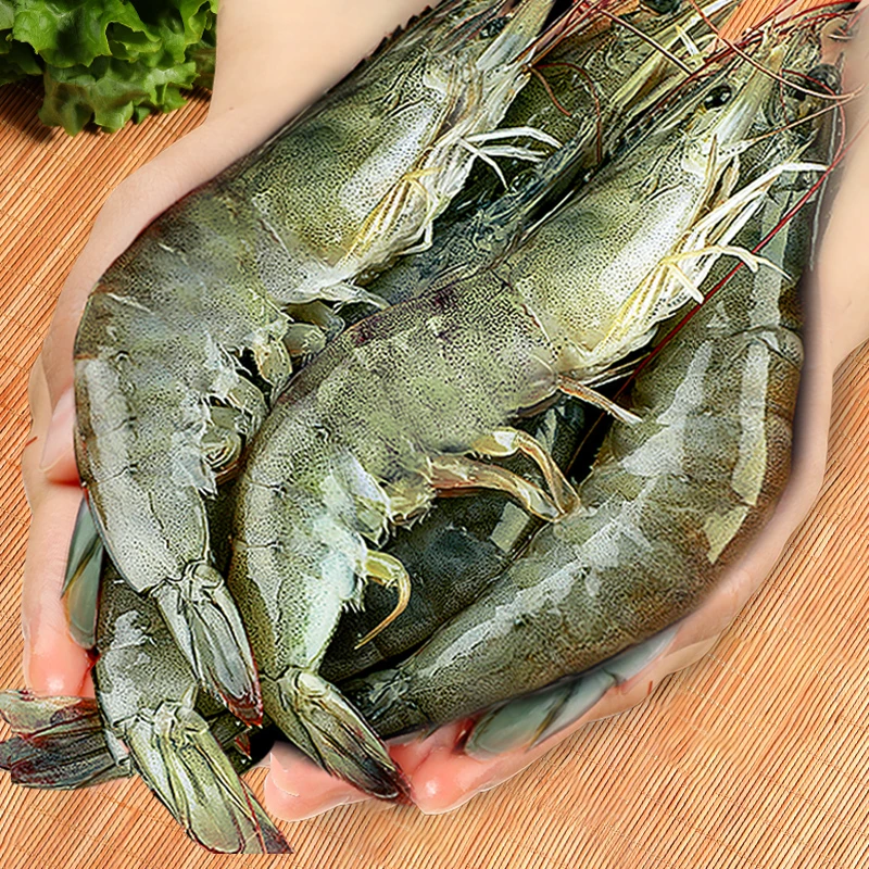 大海水虾海洋大虾单冻只只分离新鲜活虾速冻原盒5斤14-18顺丰冷链