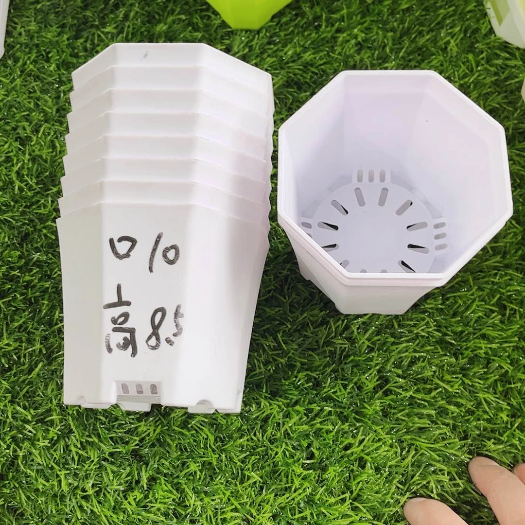 塑料加厚口10八角白色盆10个无托