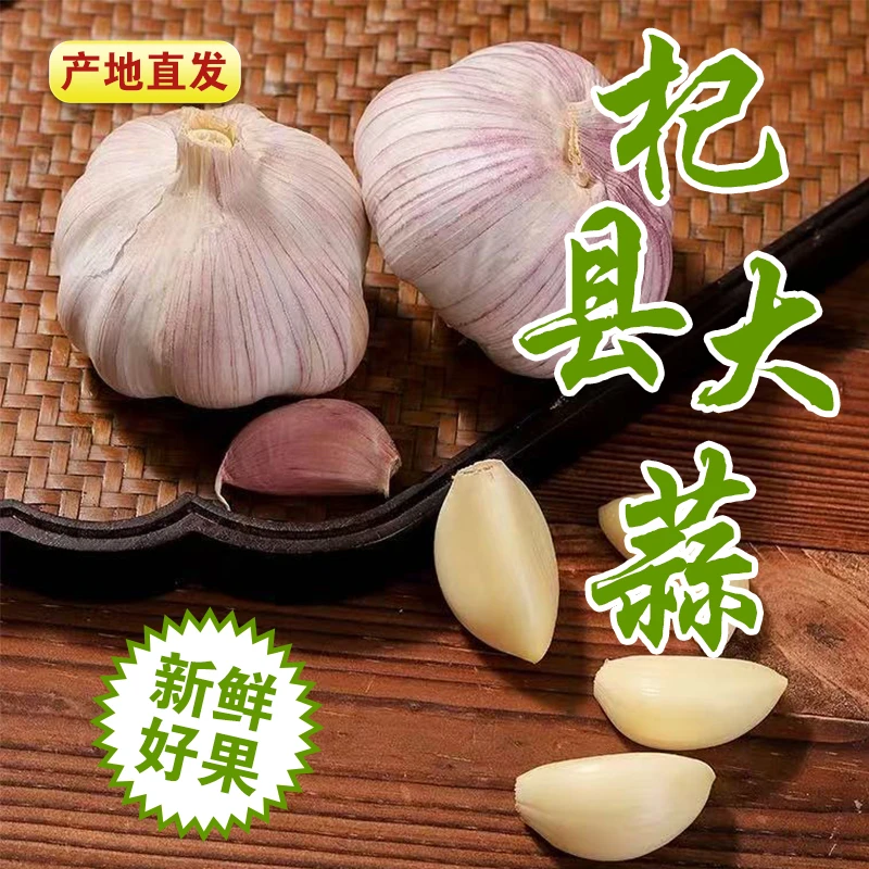 今年新晒新鲜紫白皮干蒜农家大蒜头十足辛辣味提香蔬菜产地直发