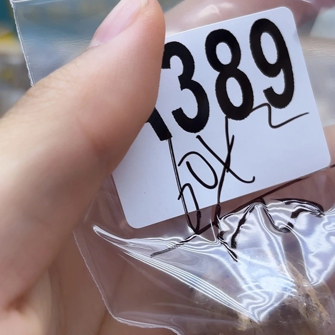 我****紫晶珠宝半成品未镶嵌389