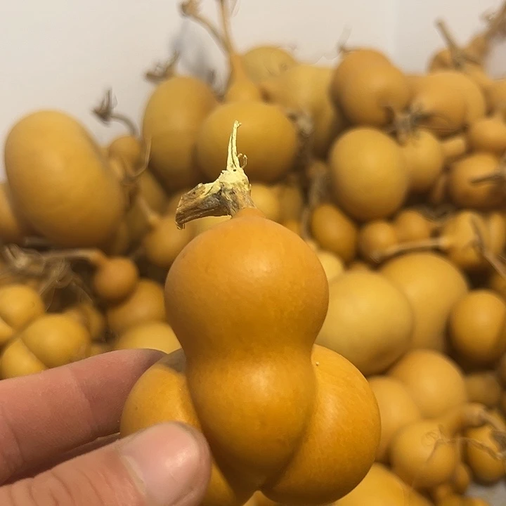 葫芦大美老皮金蟾葫芦