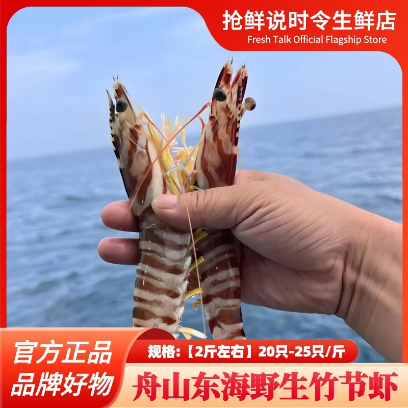 【舟山直发】野生竹节虾海鲜海捕斑节虾九节虾2斤装左右丰收季