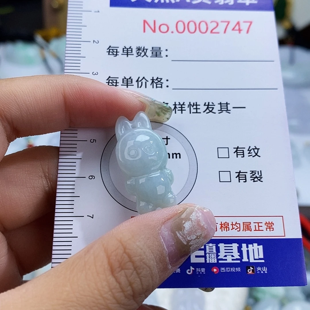 翡翠未镶嵌颈饰2747